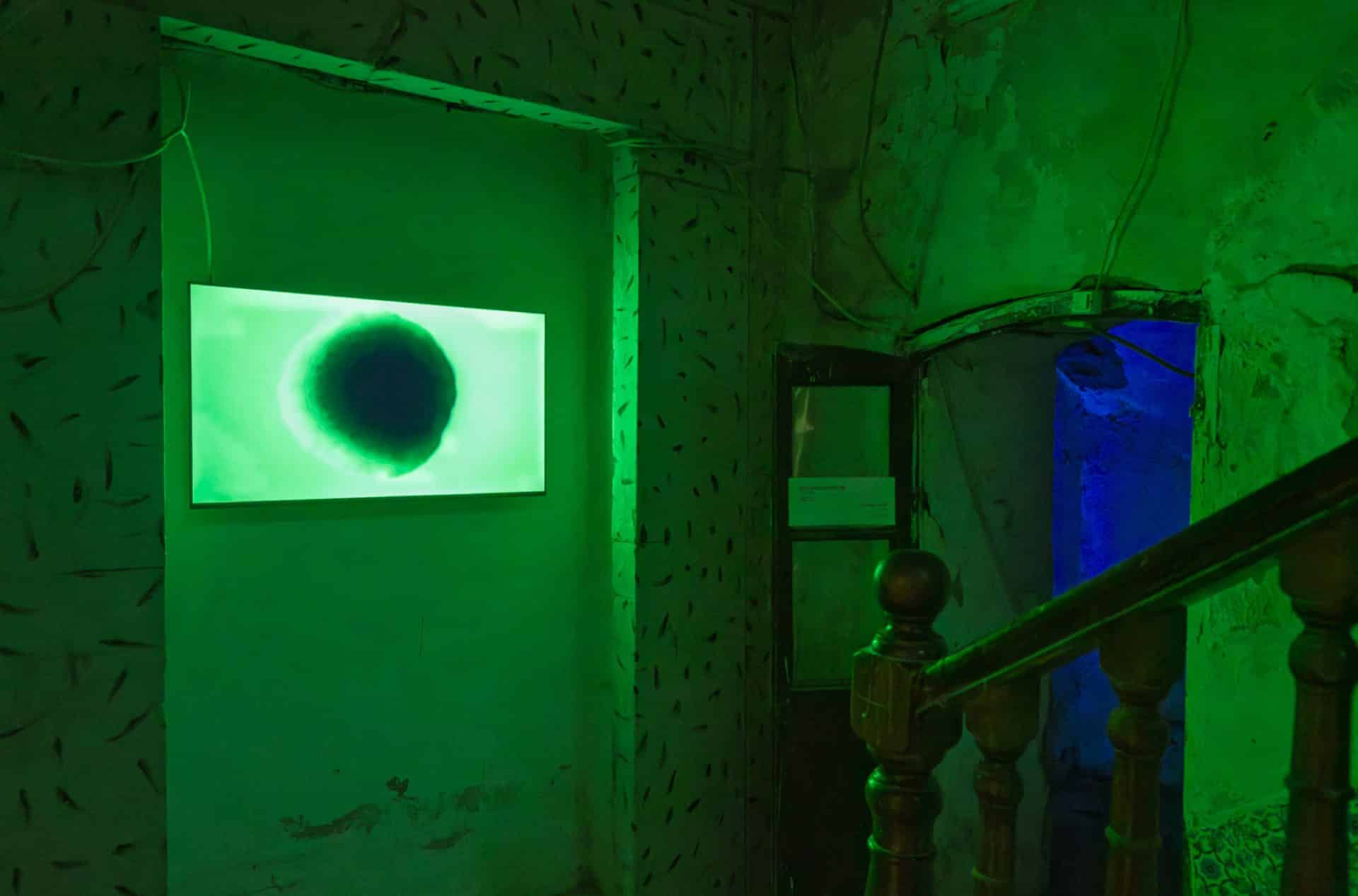 Evidence in Dream City Tunis